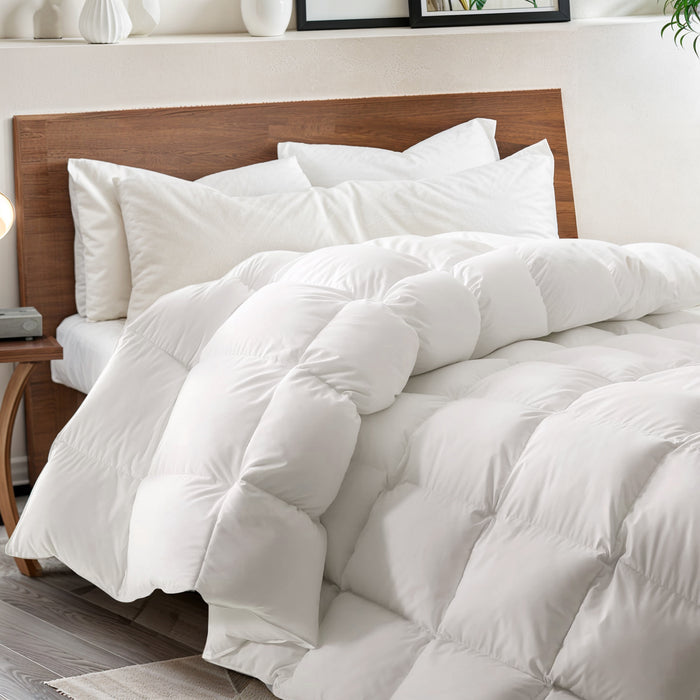 Bigleap Comforter and Duvet Insert Queen Size - All Season Down Alternative Comforters Hotel Blanket with Corner Tabs,88" x 88"