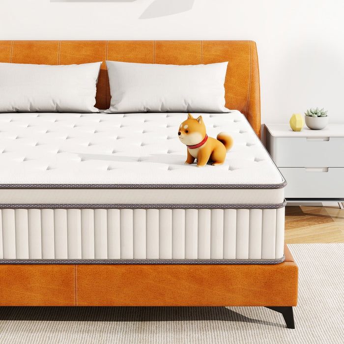 Blorly Full Mattress , 10 Inch Hybrid Mattress in a box, Gel Memory Foam and Spring Mattress Support and Pressure Relief ,Medium Firmness, Made in USA,Black