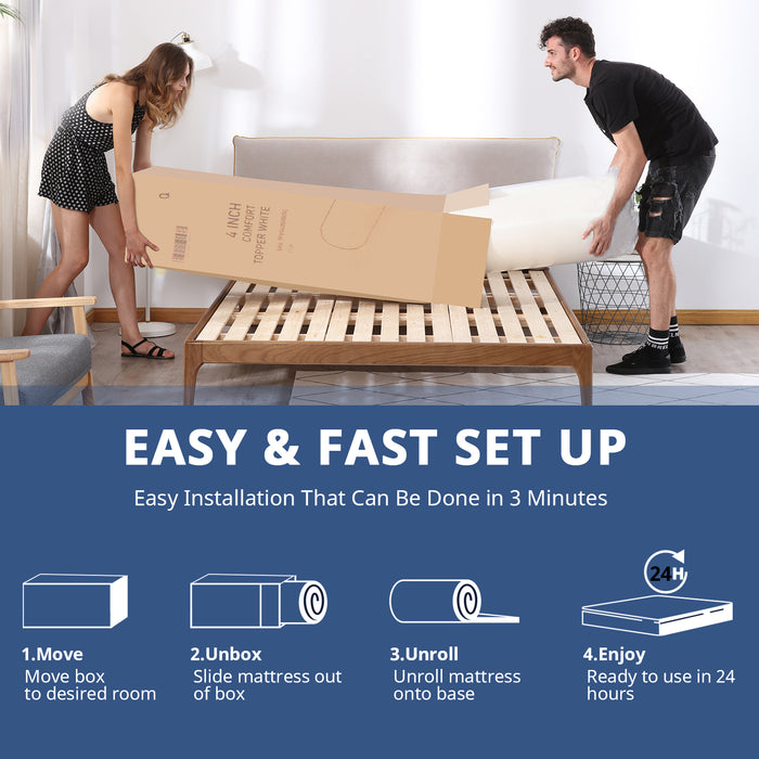 IULULU 2 in 1 Combination Mattress, Memory Cotton Mattress 6 inches, made in USA, packaged in box
