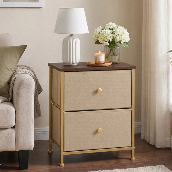 Aidoly Stylish 2-Drawer Nightstand( 2-Piece) – Practical Storage Table for Home, Office, Dorm & Entryway