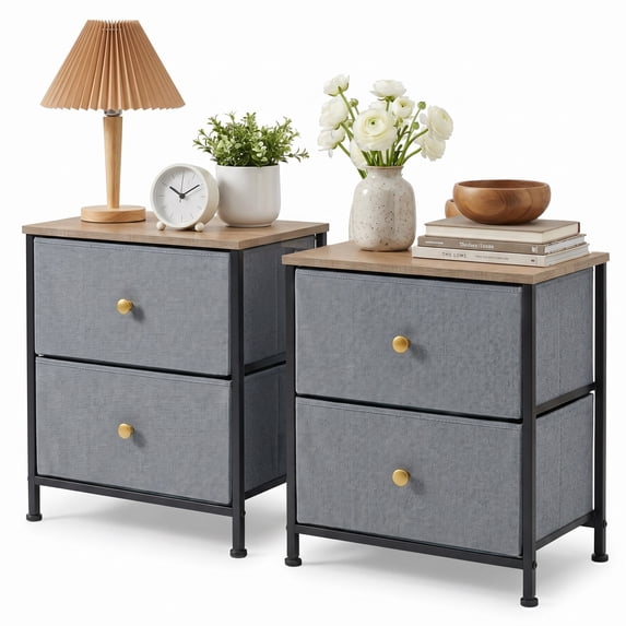 Aidoly Stylish 2-Drawer Nightstand( 2-Piece) – Practical Storage Table for Home, Office, Dorm & Entryway