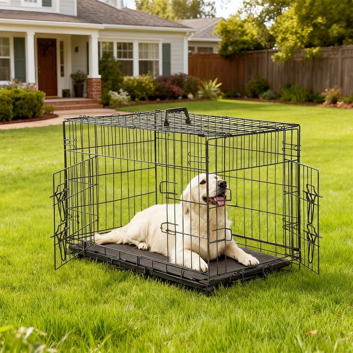Dozzle 42-Inch Secure & Portable Dog Crate: Foldable Metal Wire Kennel with Enhanced Lock, Dual-Door Design for Medium & Large Dogs, Black