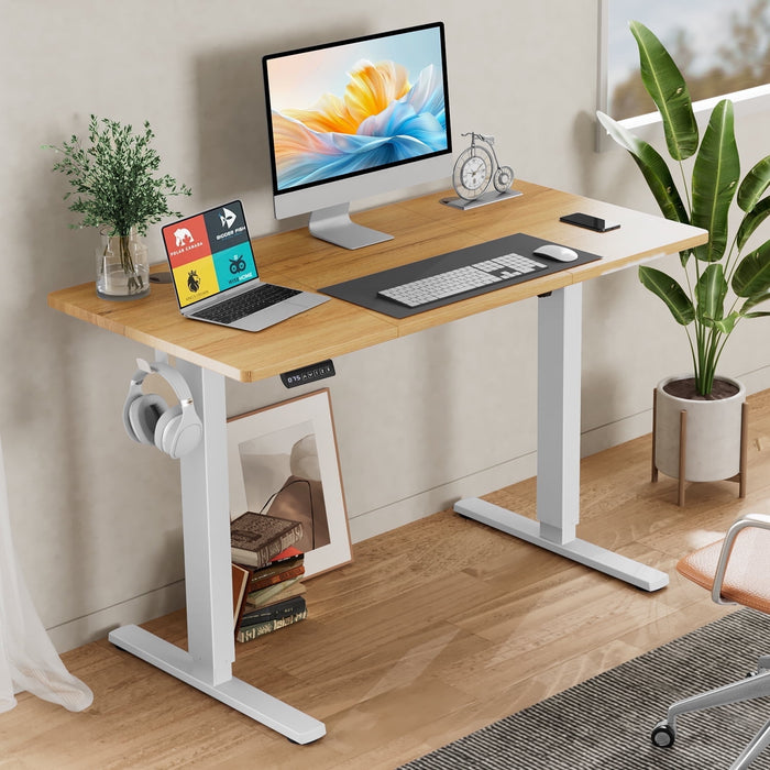 Blorly Electric Stand up Desk, Wide Desktop with Adjustable Height, Standing Computer Desk for Home Ofiice, Black