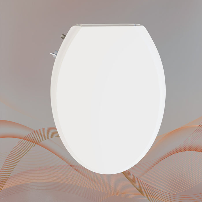 Bidet Toilet Seat for Elongated Toilets Soft Closing Toilet Seat Cover Lid with Double Self-cleaning Nozzle Bidet