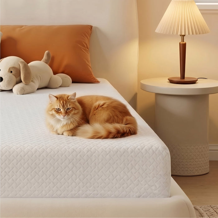 Beddle Twin Mattress Bed in a Box, Memory Foam Mattress infused with Green Tea and Cooling Gel