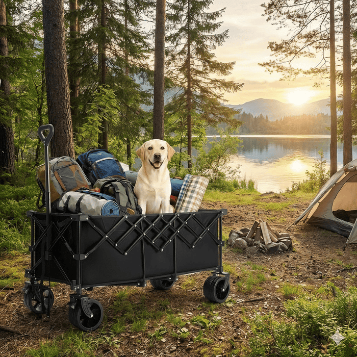 Blorly Foldable Wagon with 48" Cargo Platform, 440lbs Heavy Duty Collapsible Extended Utility Cart with All Terrain Wide Wheels & Brakes, Large Capacity Beach Wagon for Camping, Gardening, Pets, Gray