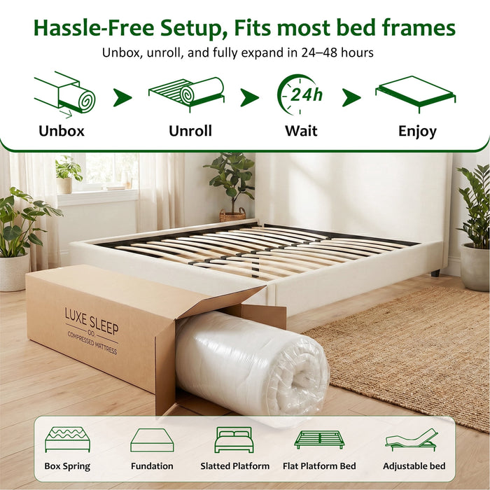 Beddle Twin Mattress Bed in a Box, Memory Foam Mattress infused with Green Tea and Cooling Gel