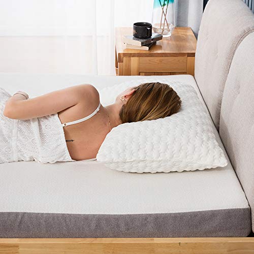 Shredded Memory Foam Pillow, Bed Pillows, Pillow for Sleeping – Support Side Back Stomach Sleepers, CertiPUR-US , Queen