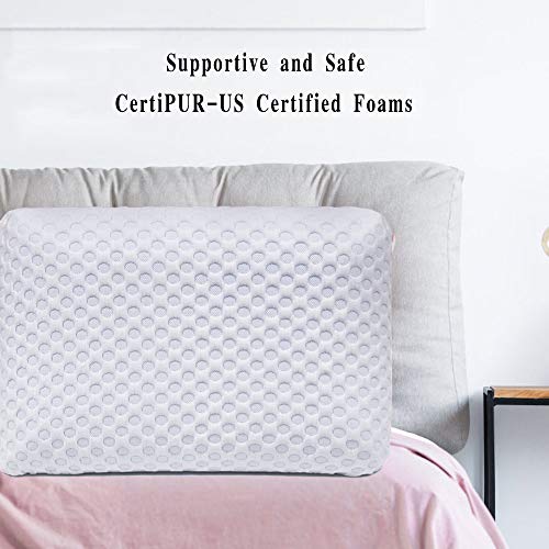 Ventilated Gel Memory Foam Pillow, Bed Pillows for Sleeping, Neck Support for Back, Stomach, Side Sleepers, CertiPUR-US, Standard Size
