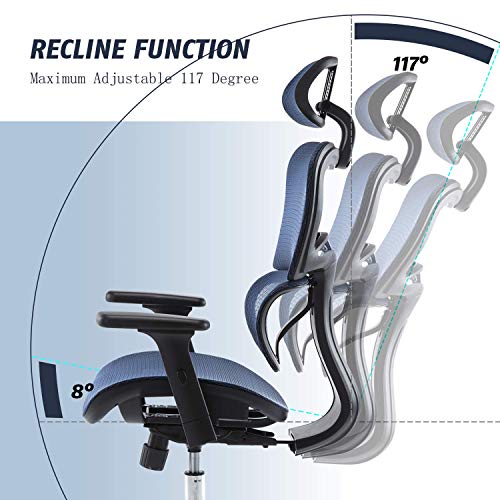 Office Chair, Ergonomics Mesh Chair Computer Chair Desk Chair High Back Chair w/Adjustable Headrest and Armrests - Blue